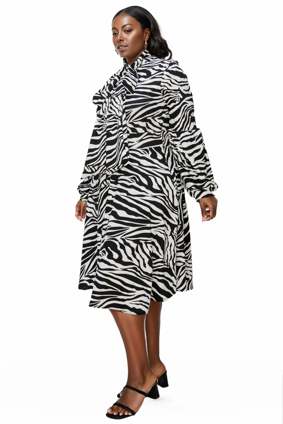 Monáe Zebra Print Pocket Flare Dress