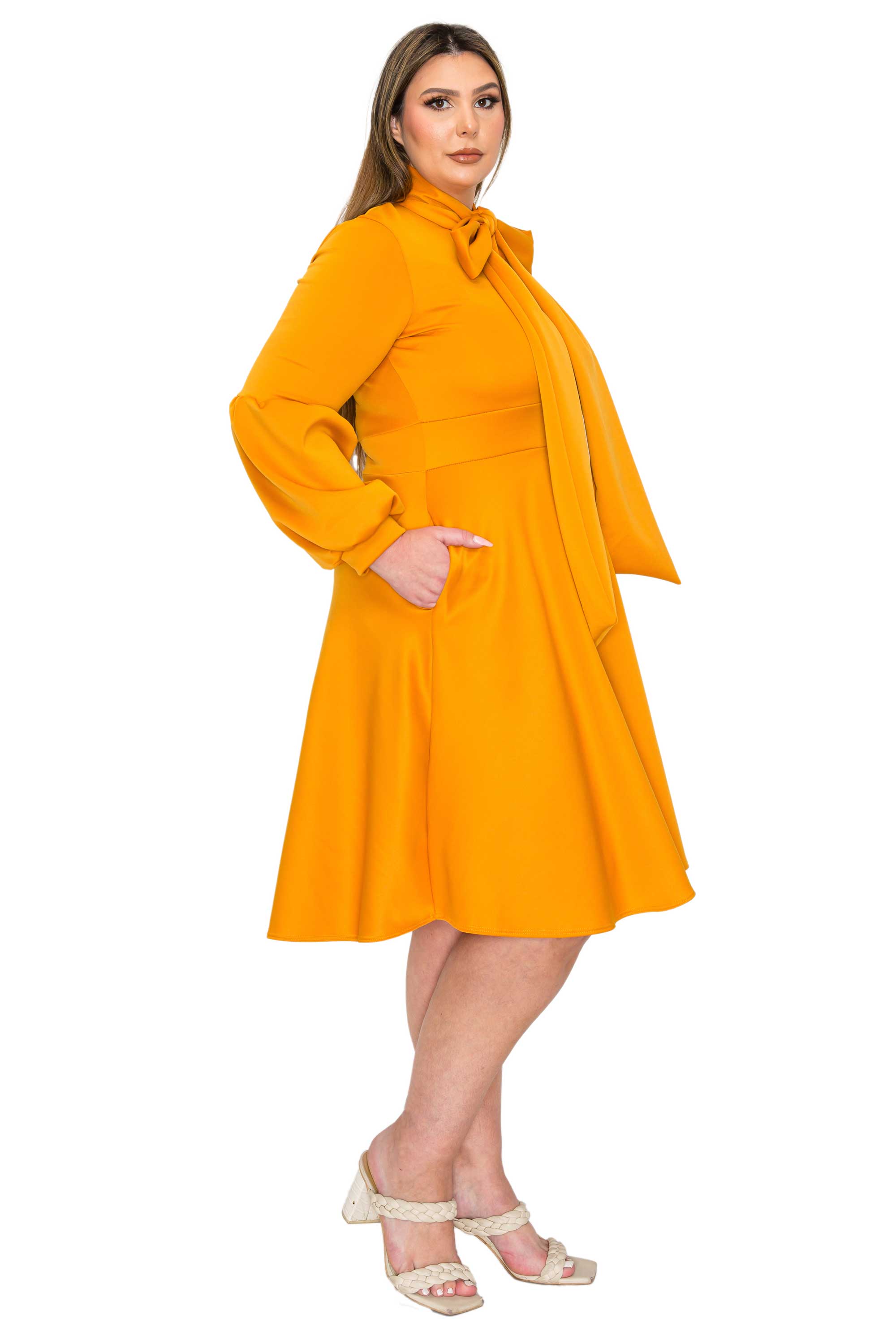 Plus Size Bekah Flare Dress – L I V D