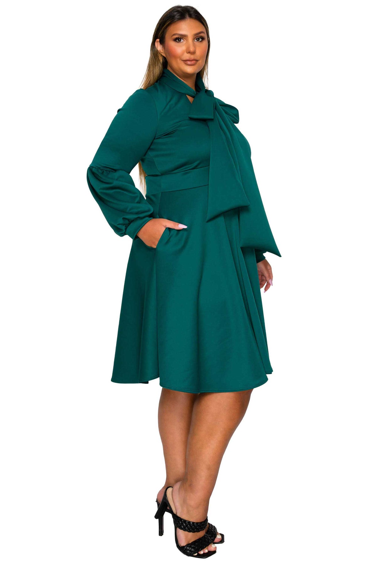Bekah Flare Pocket Dress